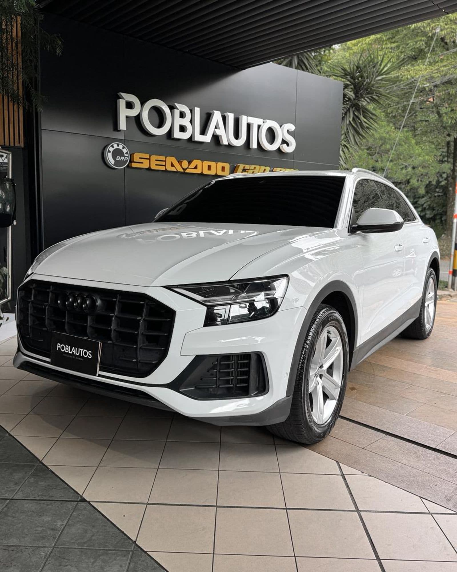 Audi Q8 TFSI Quattro Progressive 2019 - imagen 1