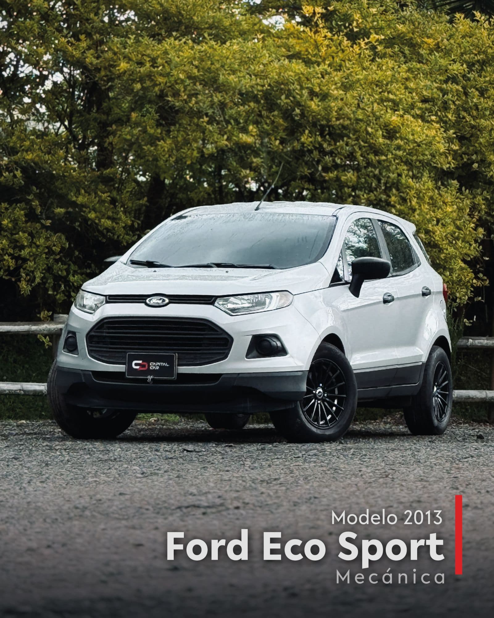 Ford EcoSport 2.0 cc - imagen 1