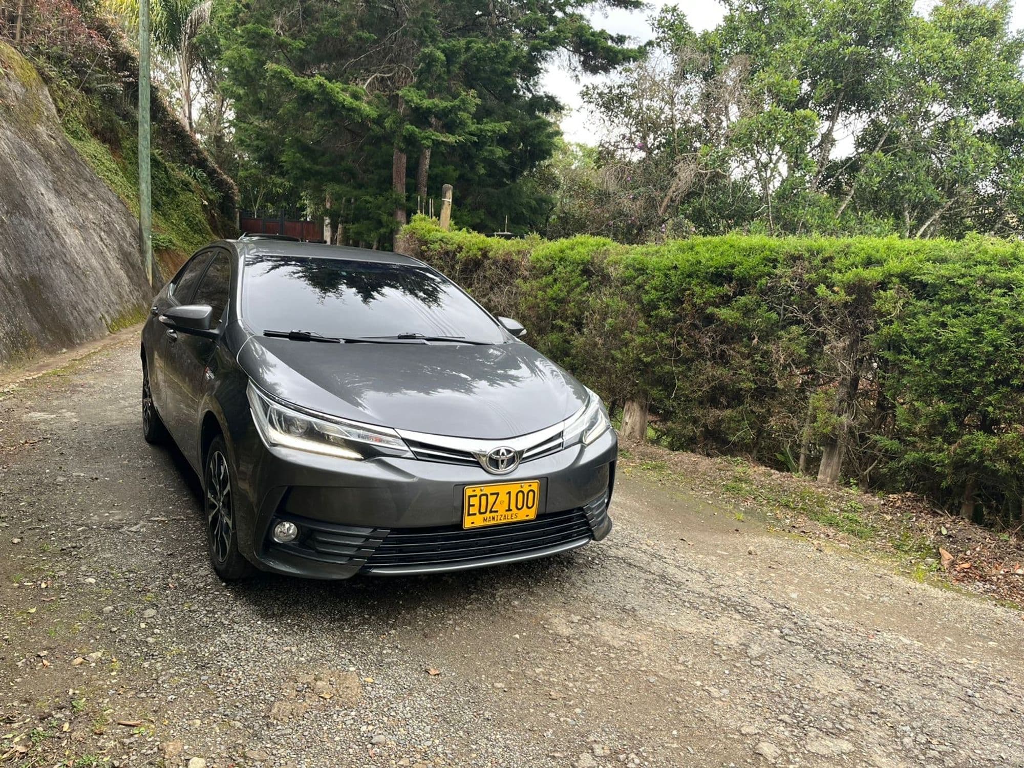 Toyota corolla seg 2019 - imagen 1