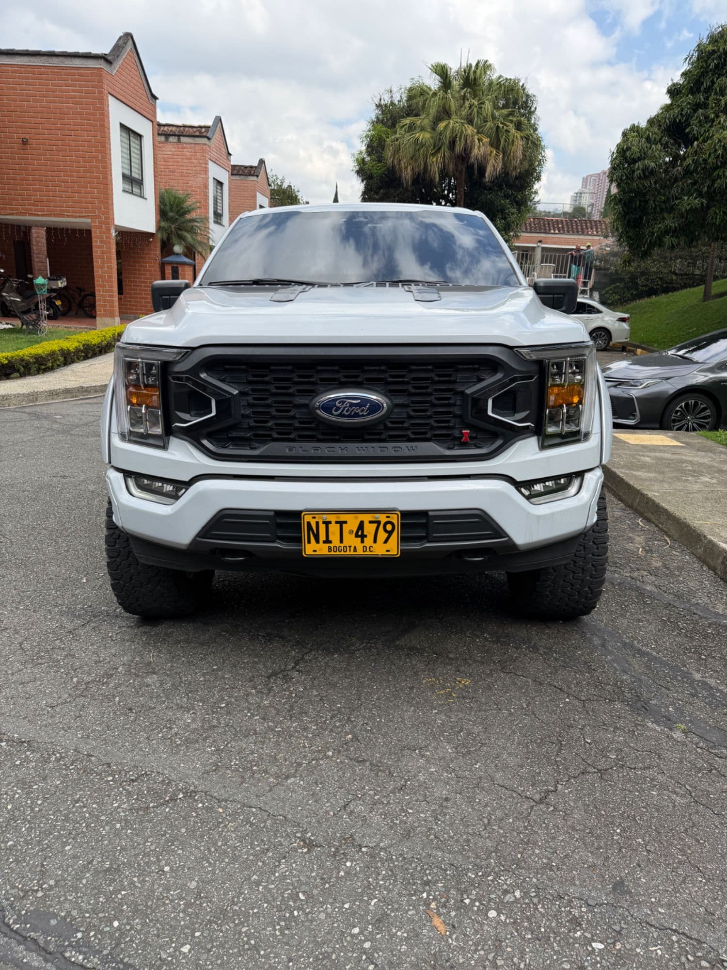 FORD F-150 EDICION BLACK WIDOW - imagen 1