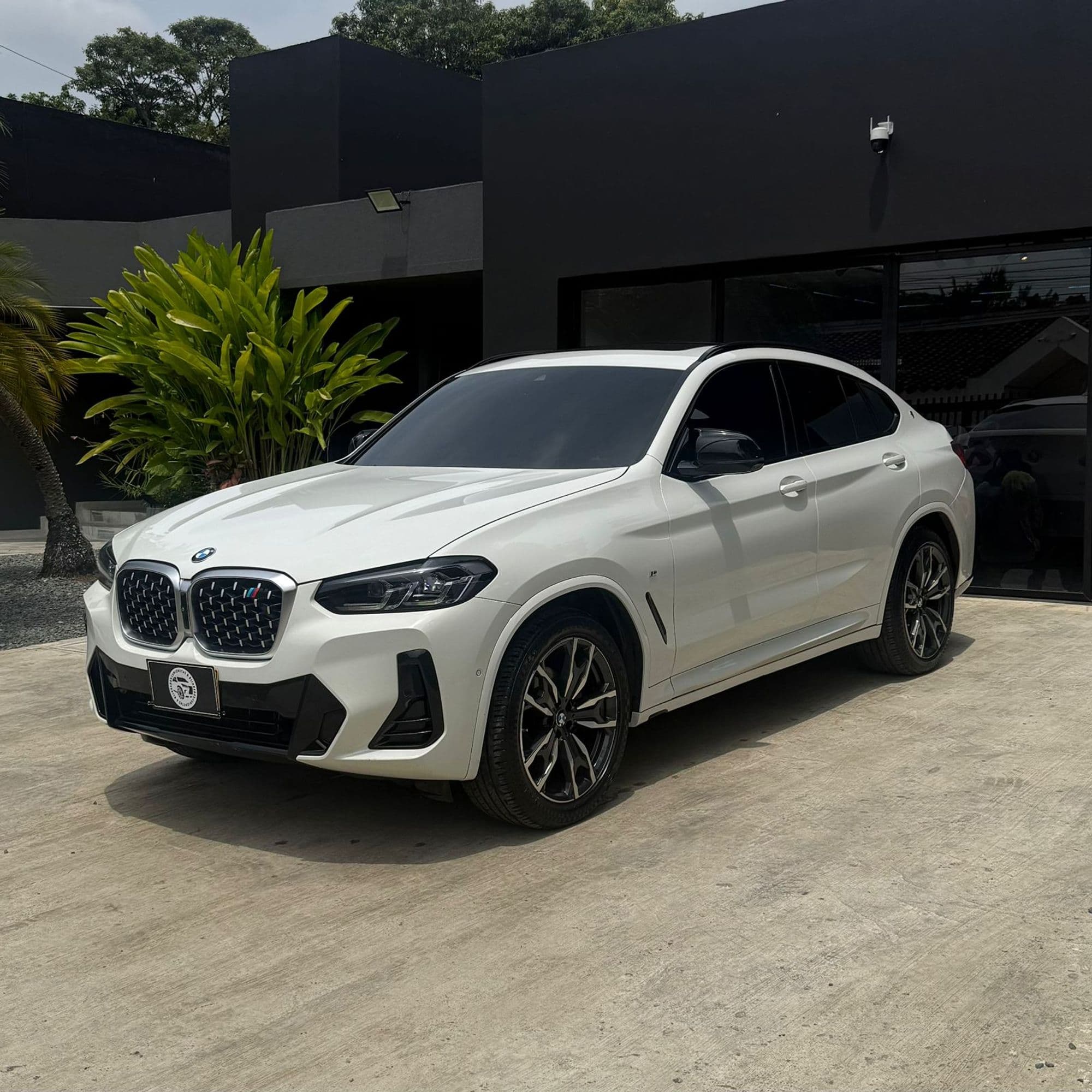 BMW X4 Xdrive 30i Limited Edition - imagen 1