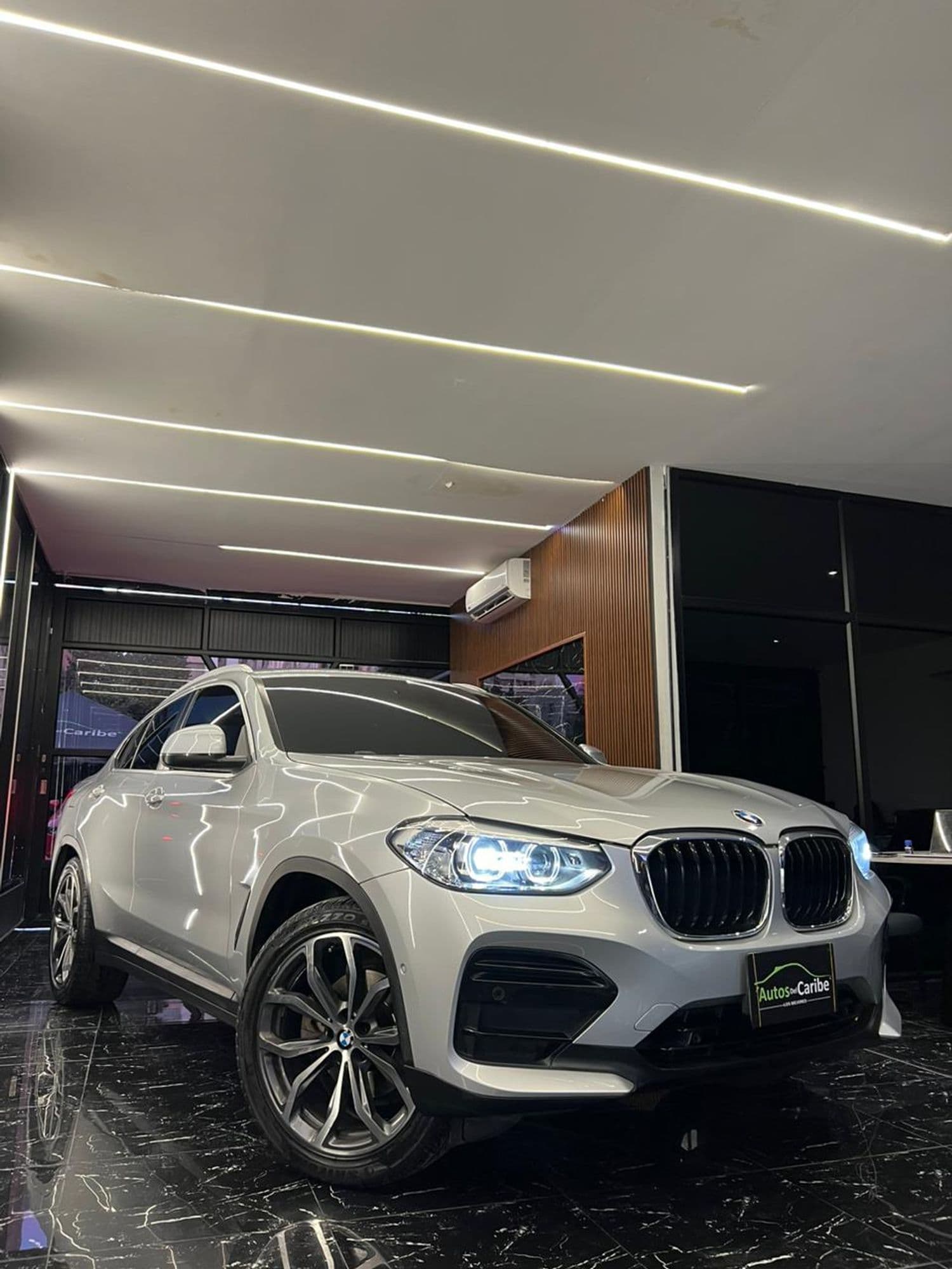 BMW X4 XDRIVE30i - imagen 1