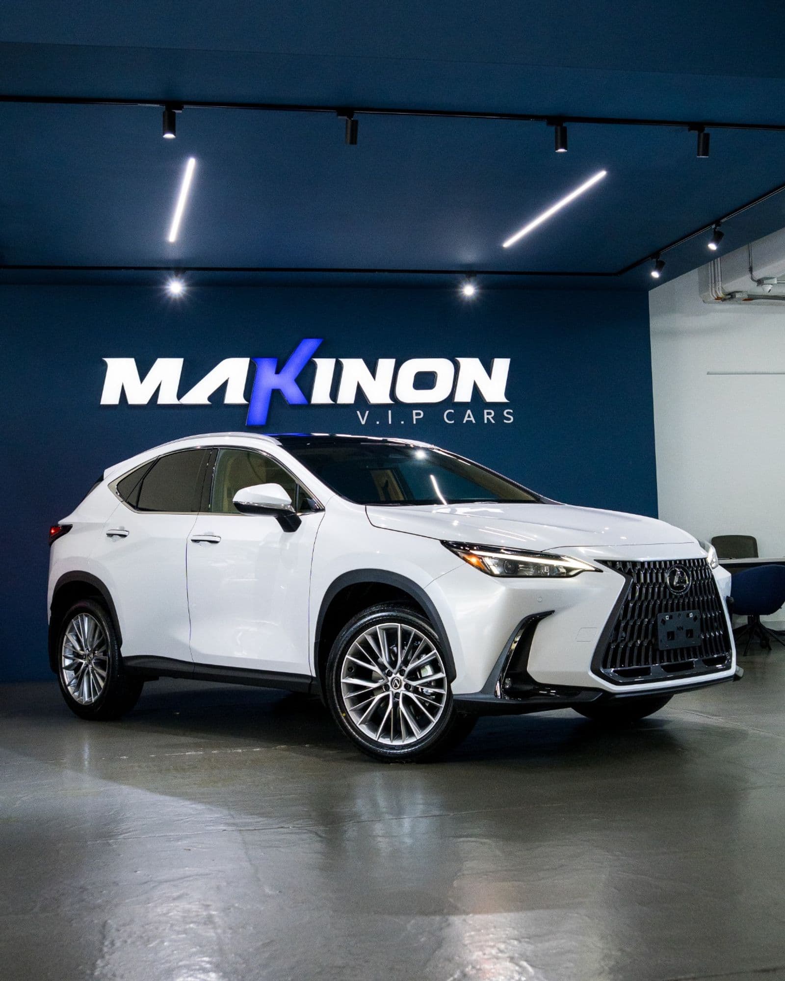 Lexus Nx 350h Luxury - imagen 1