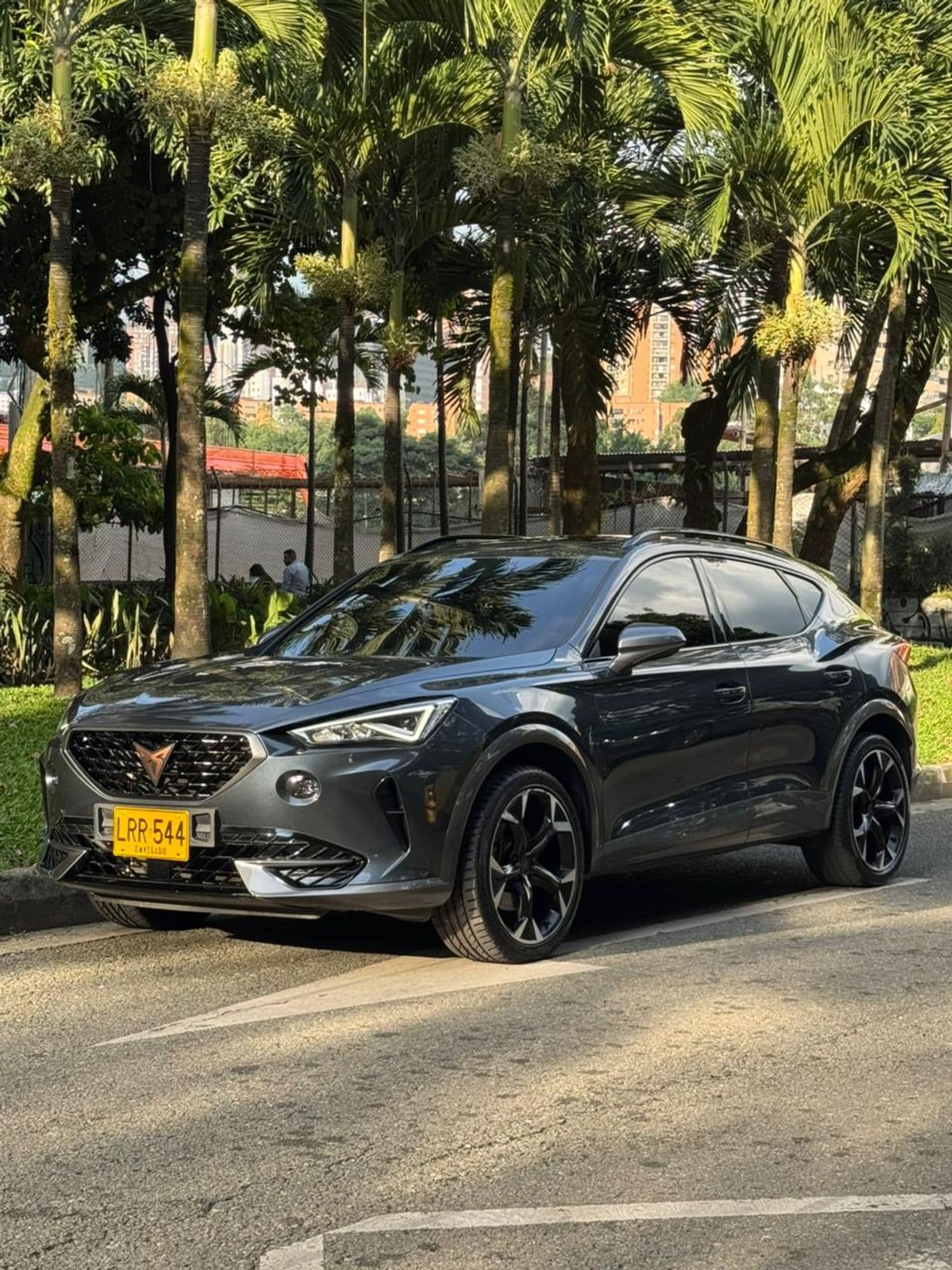 CUPRA FORMENTOR 2.0 AUTOMATICO TSI METALIZADO DSG - imagen 1