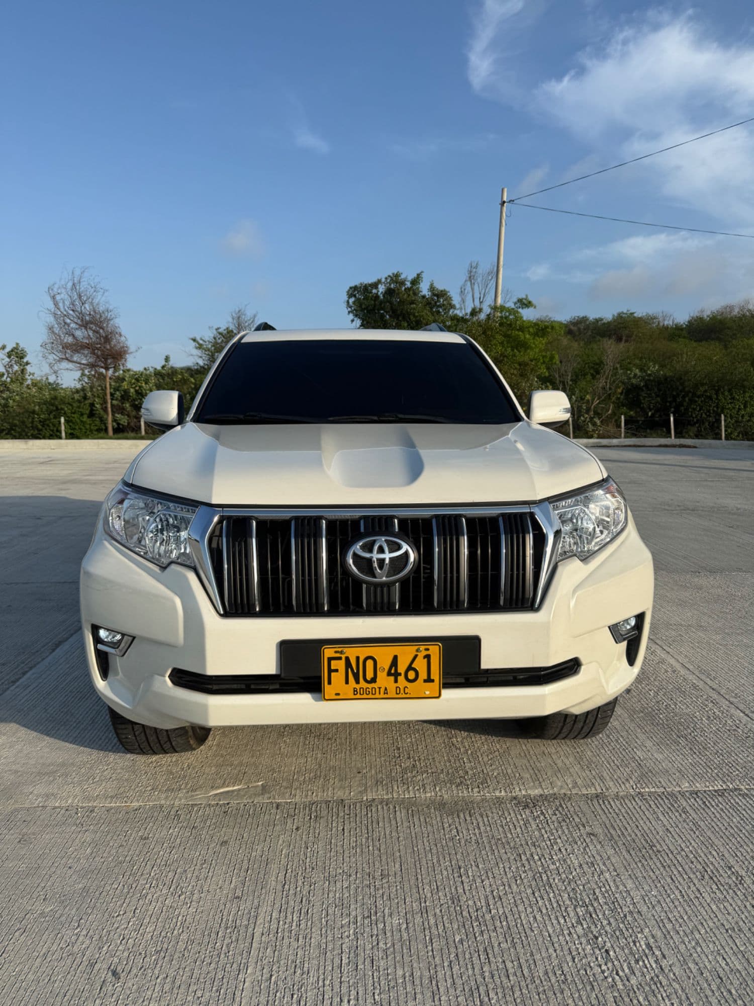 Toyota Prado txl 2019 gasolina - imagen 1