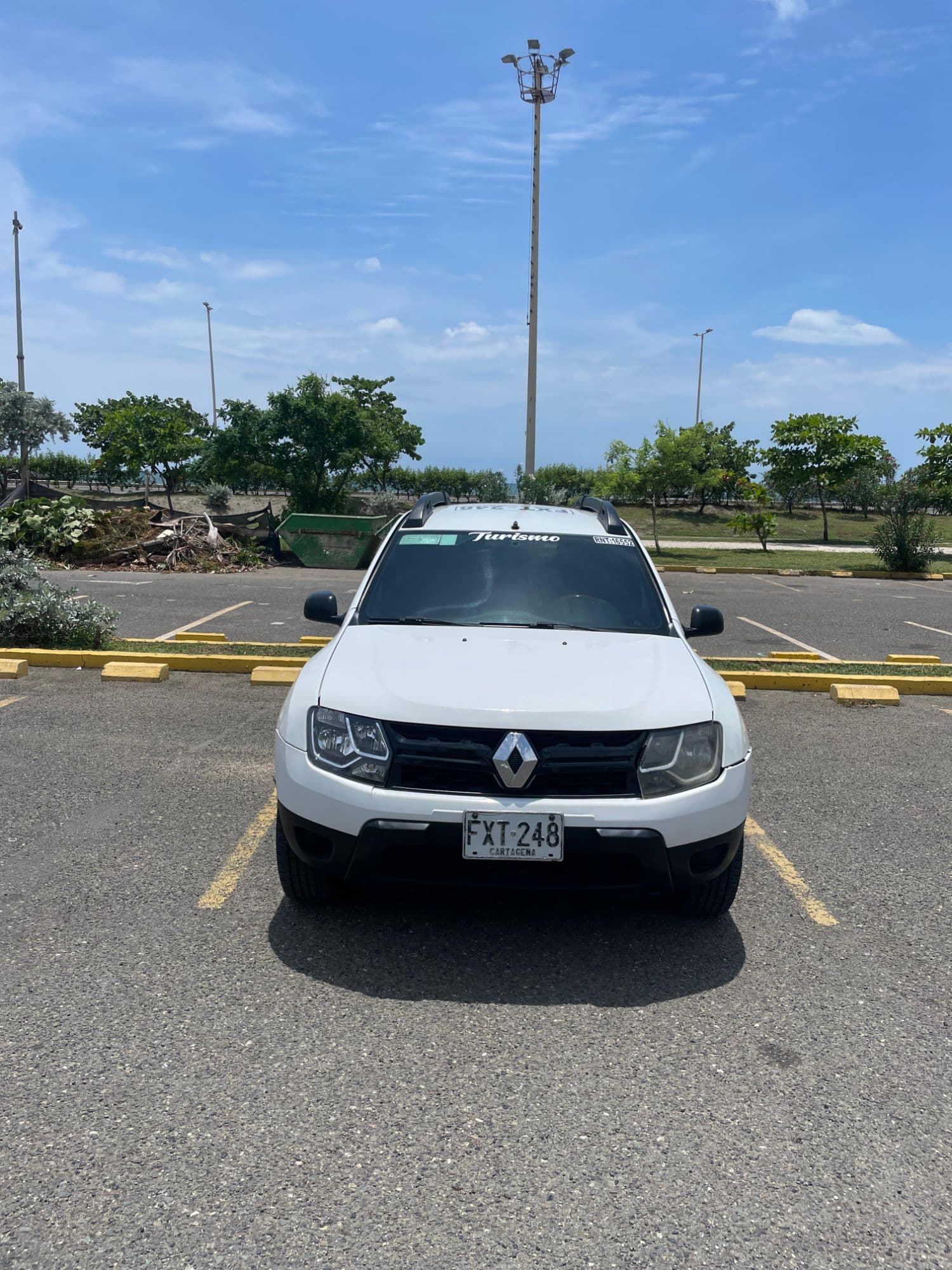 RENAULT DUSTER PUBLICA MOD 2019 - imagen 1